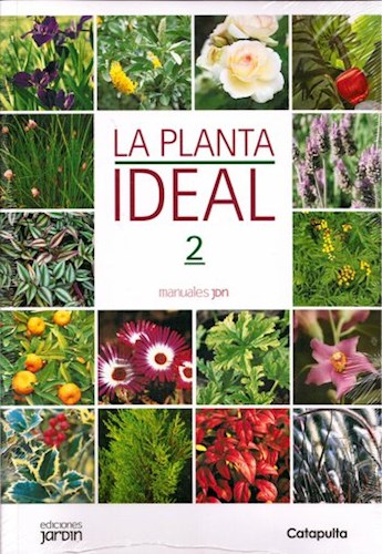 La planta ideal 2